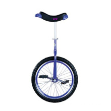 Unicycle (WJ278222)